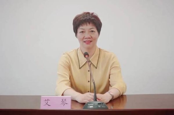 华融资产 艾琴当选南平市妇联主席（附简历）